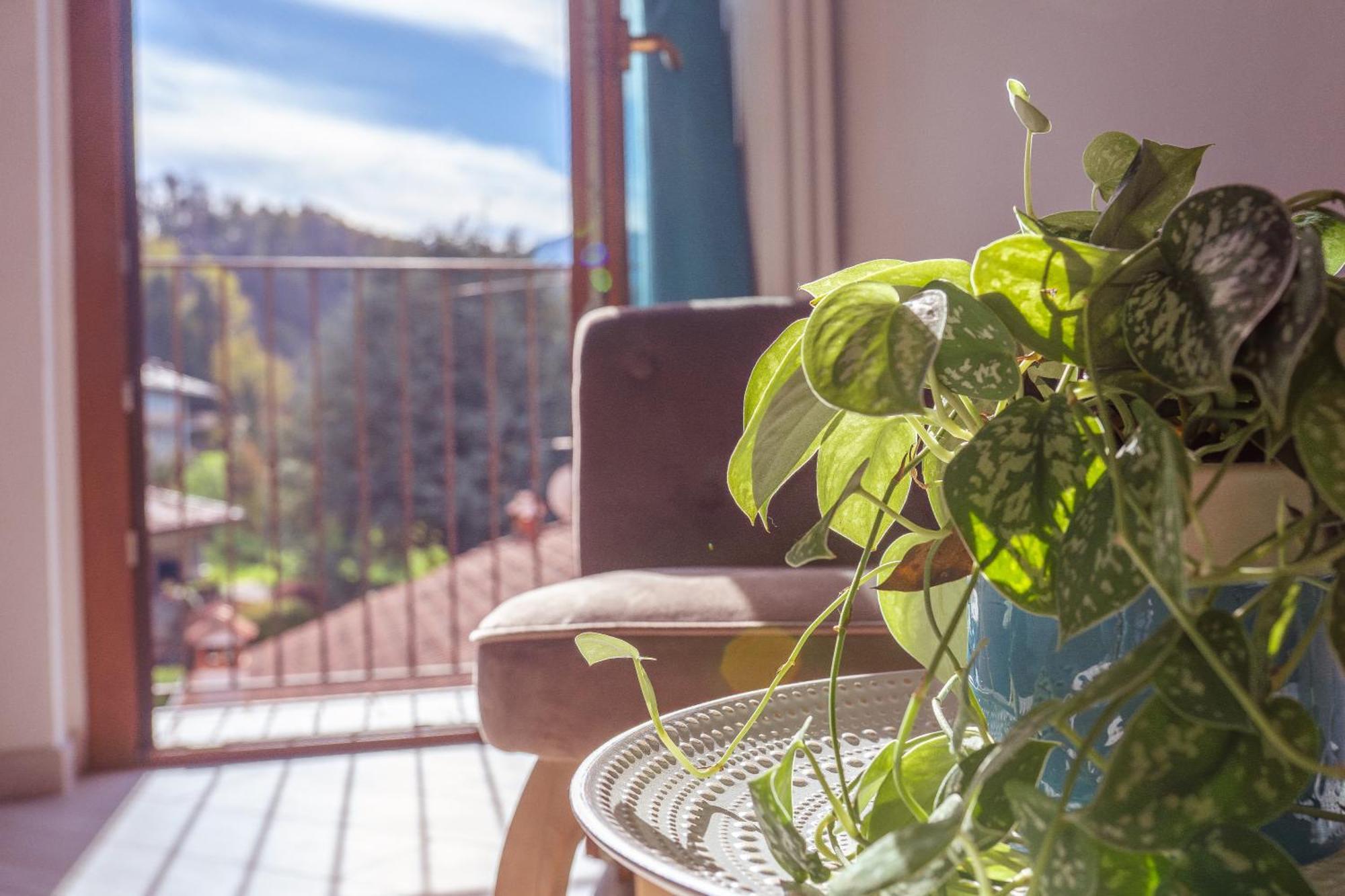 Larius Apartment - Como Lake View مانديلو ديل لاريو المظهر الخارجي الصورة